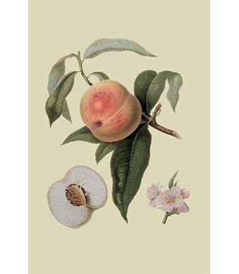 « noble pêche » par william hook, impression