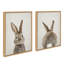 «Bunny Portrait on Linen and Bunny Tail on Linen» par Amy Peterson, ensemble d'art mural sur toile encadrée-1717372449