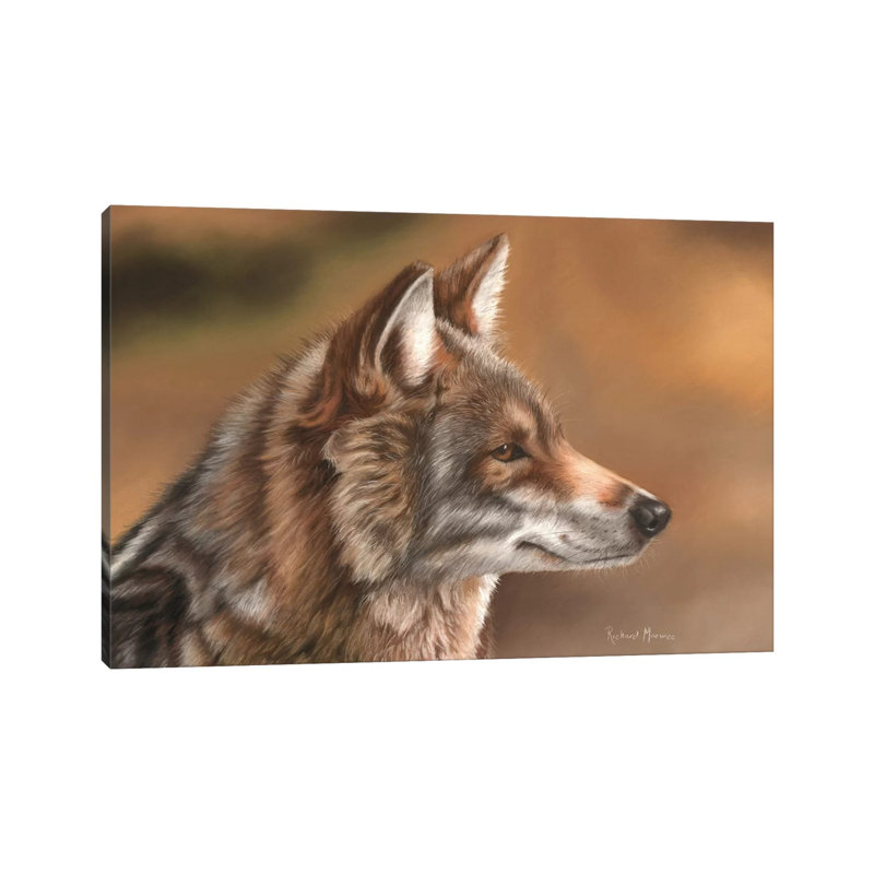 Coyote by Richard Macwee - Wrapped Canvas Print, 66.04 cm H x 45.72 cm W x 3.175 cm D