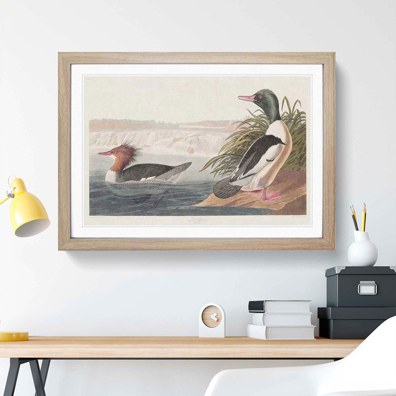 Goosander Ducks by John James Audubon - Picture Frame Art Print, 36cm H x 48cm W x 2cm D, Oak Framed