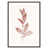 Walnut Wood Framed Paper is unavailable