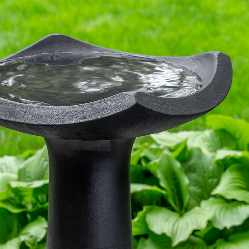 Alinuswe Concrete Pedestal Birdbath, Nero Nuovo