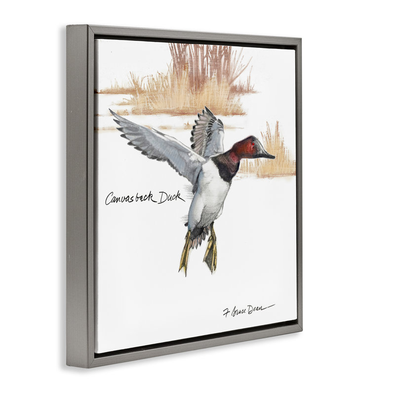 Art mural sur toile flottant, "Canvasback Duck Flying" encadré par Jadei, Cadre flottant gris lustré, H 25 po x l 25 po