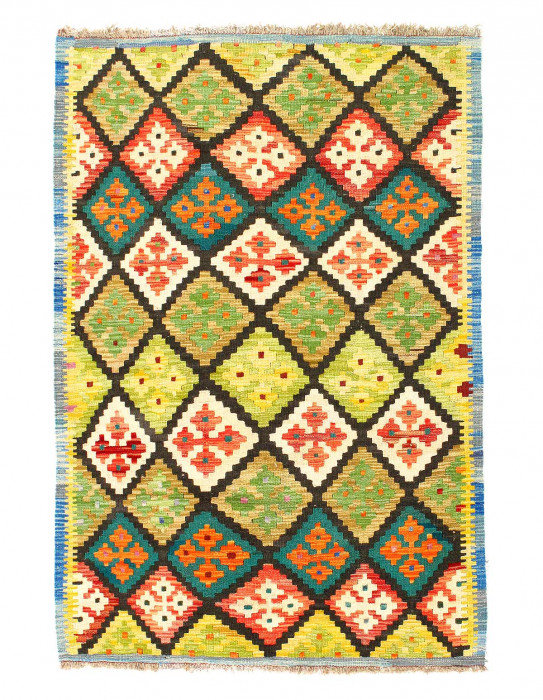 Tapis vert à tissage plat unique 3 pi 4 po x 4 pi 11 po Arijanit