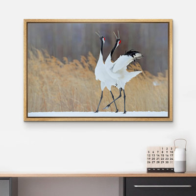 Crane héron, oiseau, hiver, campagne, couronne rouge, oiseau, photographie, encadrée