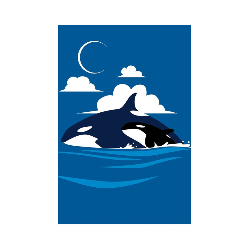 Killer Whale Family by Alberto Perez - Wrapped Canvas Print, 101.6cm H x 66.04cm W x 1.91cm D