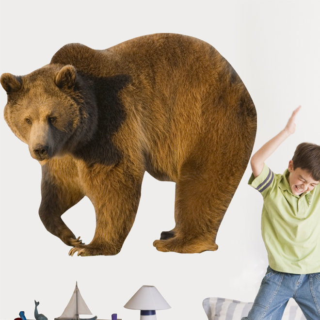Adhésif décoratif grizzly, H 42 po x l 48 po