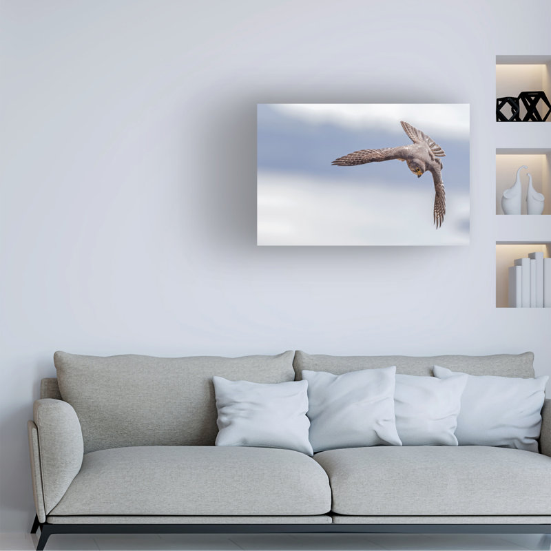 Œuvre d'art sur toile bol bolien, H 16 po x l 24 po