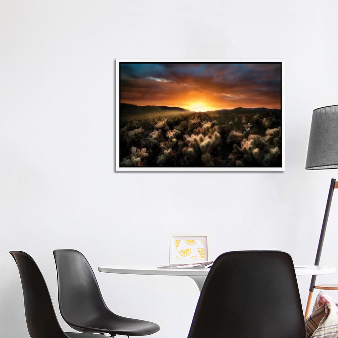 Cholla Sunrise von Dennis Frates - Giclée auf Leinwand