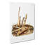 Harvest Mice by J.W. Audubon - Wrapped Canvas-55310259