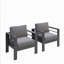 Ensemble de 2 fauteuils de patio 28 po en aluminium toutes saisons avec coussins épais gris foncé et structure grise