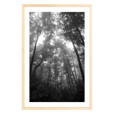 Landscape & Nature Print