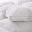 Édredon 100% coton duvet d'oie européen-89754962