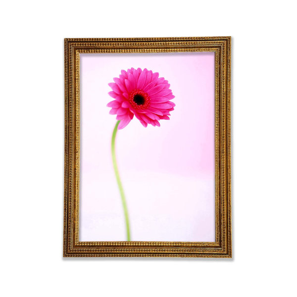 Ebern Designs Pink On Pink Gerbera - Single Picture Frame Print ...