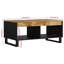 Jinesh Sled Coffee Table with Storage