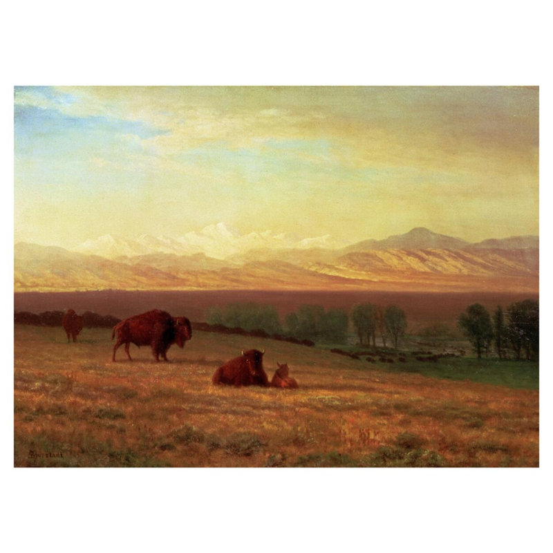 «Buffalo on The Plains» par Albert Bierstadt - Impression giclée, H 32 po x l 40 po