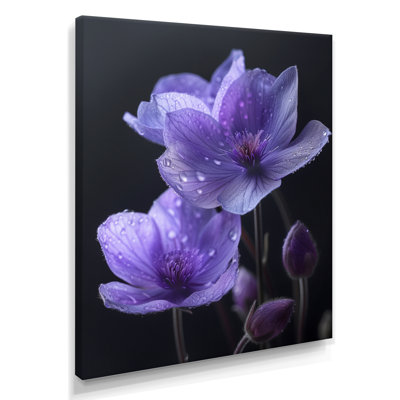 Monochrome Purple Black Buttercups Moonlit Kiss - Buttercups Wall Art