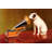 His Master's Voice