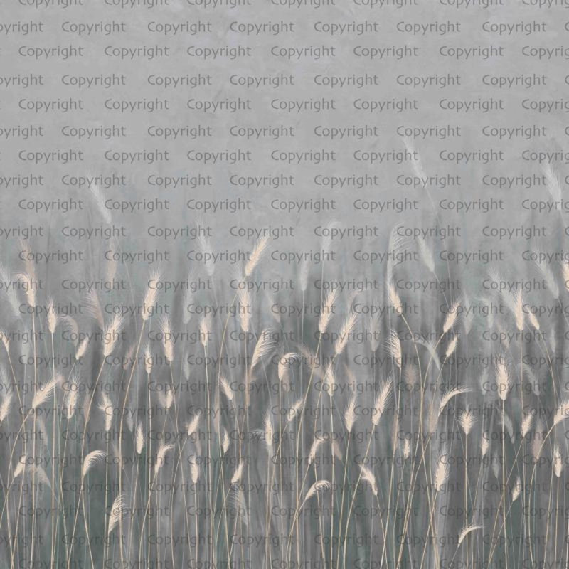 Papier peint Serene Reed Grass, Gris, L 110,04 po x l 204 po