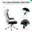 Tunney Ergonomic Height-Adjustable Mesh Office Chair with Headrest-696391593