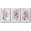 Posy Blooms I-91887319-91887316