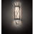 Darwing Steel Flush Mounted Sconce