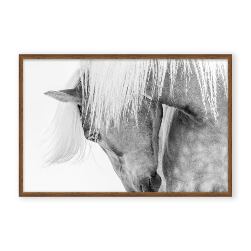 Nature Inspired Halflinger Portrait by  - Picture Frame Photograph on Paper, Black, Framed Canvas, 16" H x 24" W x 2.375" D