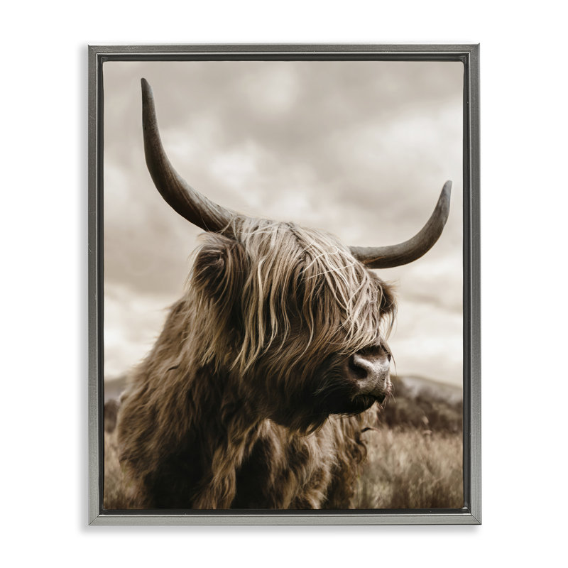 Cadre flottant à la recherche de bovins, conception par CAD Designs, 21 x 17, Lustre Grey Floater Framed
