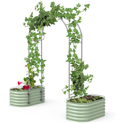 Add Ons 90'' H x 54'' W Arched Trellis