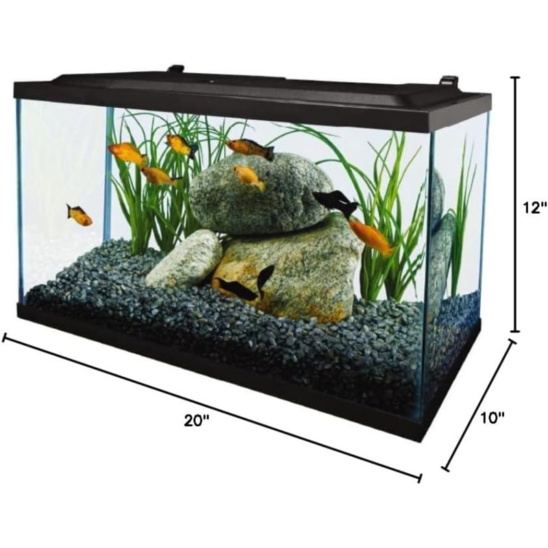 Aquarium, 10 gallons, ensemble complet d'aquarium tropical avec éclairage DEL pour poissons d'eau douce