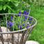 Ensemble de 2 supports de jardin en treillis de fer rond en bronze vieilli "Stephania"-112215225
