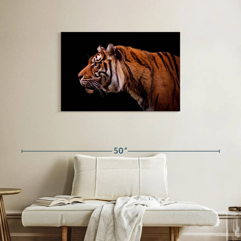 Brampt Royal Tiger, 24" H x 36" W