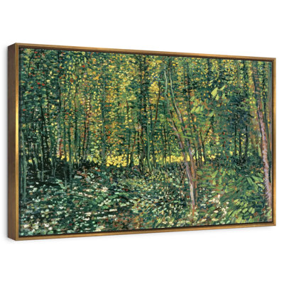 Arbres et sous-bois