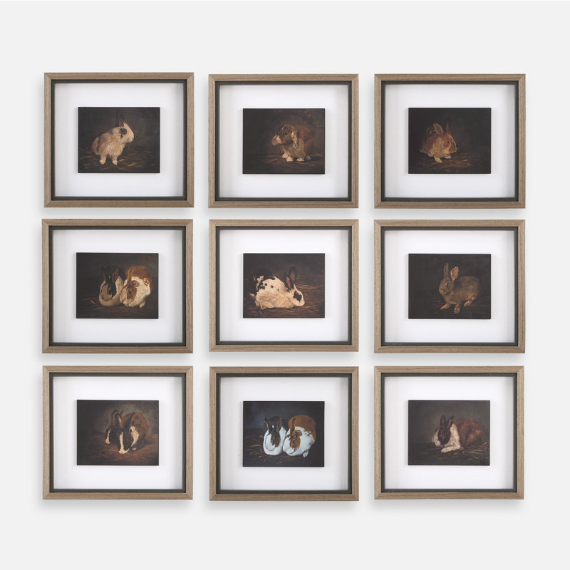 Uttermost Resting Bunny Framed Prints