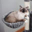 Arbres à chat et jouets interactifs à niveaux multiples 41,3 po - Tour pour chat d'intérieur avec poteaux à griffer et hamacs-2096064426