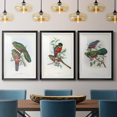 Gould Tropical Birds I - Impression personnalisée de qualité supérieure avec cadre mat - 3 pièces