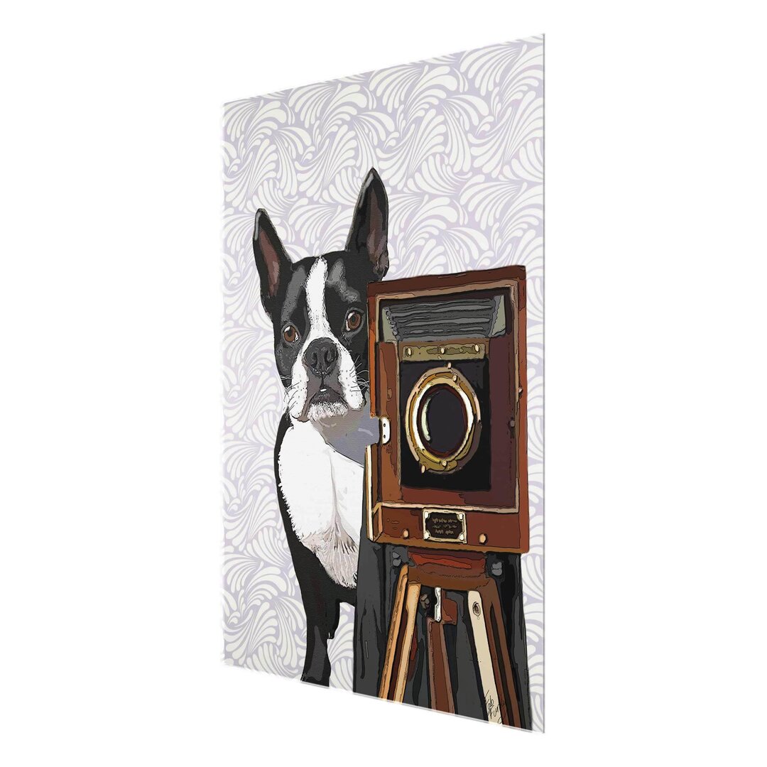 Glasbild Animal Photographer Terrier