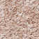 Assar Shag Beige Area Rug 