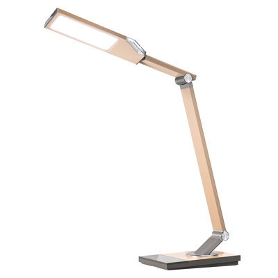 Lampe de bureau 17,2 po Trevyn USB