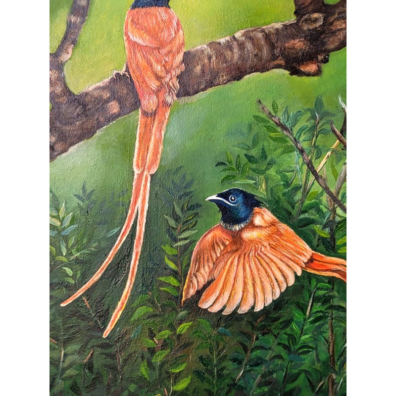 Paradise Flycatcher | Oil On Canvas | By Alka Sengar