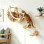 Escalier mural pour chat avec hamac