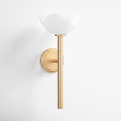 Limerick Single Light Steel Dimmable Wallchiere