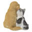 Golden Retriever et chaton