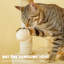 Habitation pour chat 55 po Bineta-1167393301