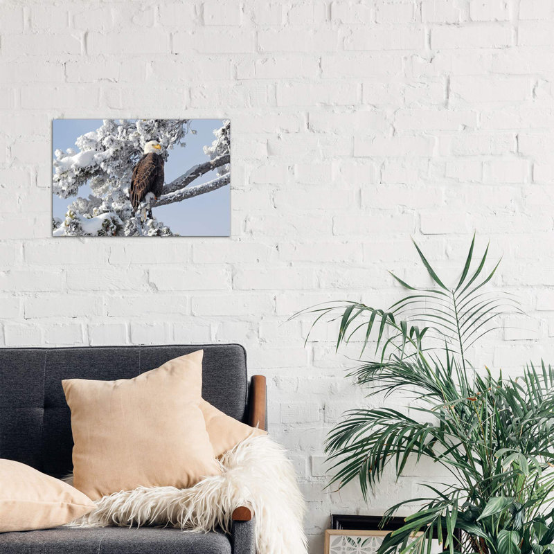 Winter Eagle - Wrapped Canvas Print, 66.04 cm H x 45.72 cm W x 3.175 cm D