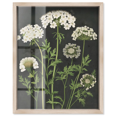 «Wildflower Umbel II Shadowbox Print Farmhouse» par Art Remedy