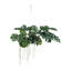 Faux Monstera Plant in Kokedama Hanger