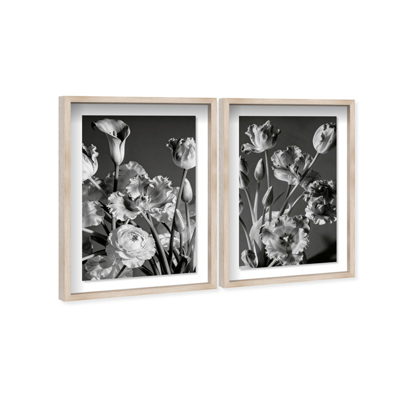 Botanique Noir Set Set by Oliver Gal, 31" H x 21" W, Natural Oak Shadowbox