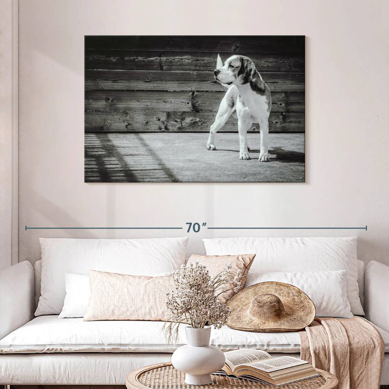 Beagle Brampt monochrome