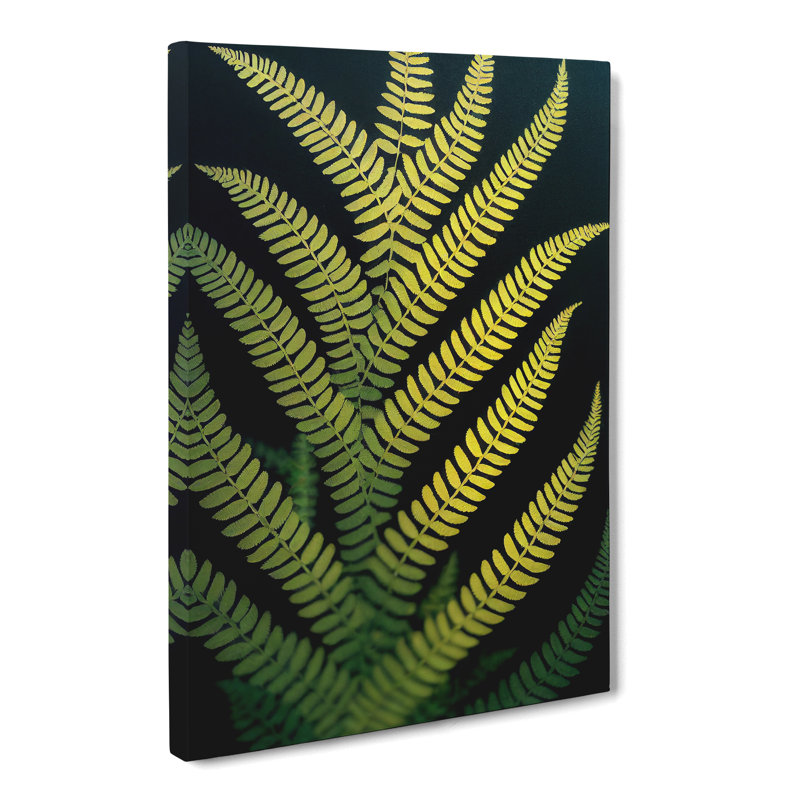 Lalik Fern Leaf View - Wrapped Canvas, 60cm H x 40cm W x 3cm D